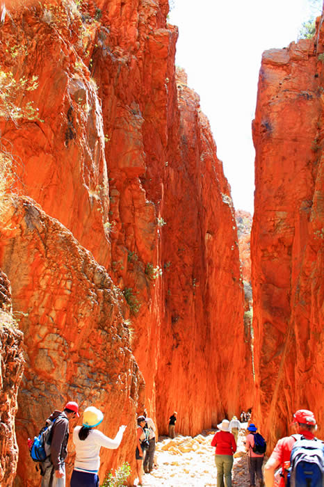 Standley Chasm